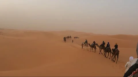 Camel walking through desert in tourists group. 스톡 동영상 270766896