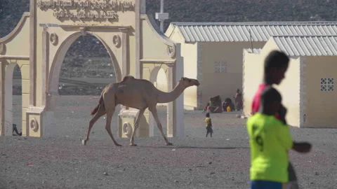 Camel Walking Through Village in Eastern Africa Stock Footage 144983264