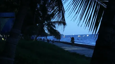 Camel Walks Along Beach at Dusk   (HD) Stock Footage 12609504