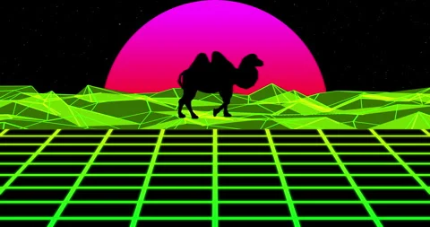 Camel walks on the surface. Travel concept, it's hard to walk for a long time Stock Footage 285122210