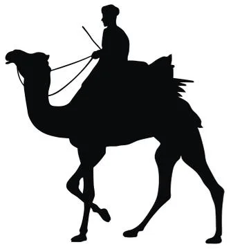 Cameleer Stock Illustration