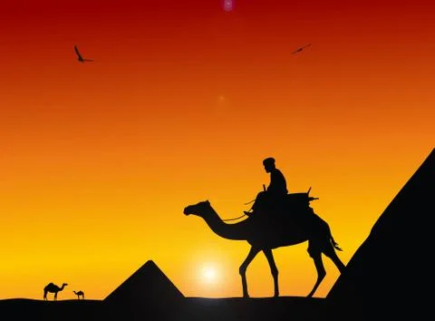 Cameleer Stock Illustration