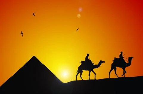 Cameleer Stock Illustration