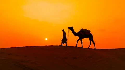 Cameleers, camel Drivers at sunset. Thar desert on sunset Jaisalmer, Rajastha Stock Footage 123721661