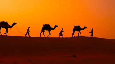 Cameleers, camel Drivers at sunset. Thar desert on sunset Jaisalmer, Rajastha Stock Footage 123721780