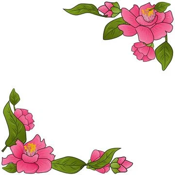 Camelia Flower Vector Frame and Border Stock Illustration