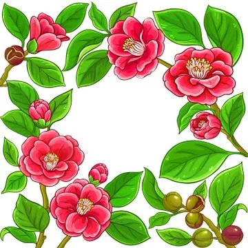 Camellia vector frame Stock Illustration