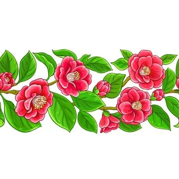 Camellia vector pattern Stock Illustration