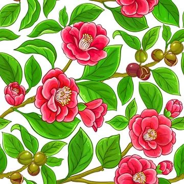 Camellia vector pattern Stock Illustration