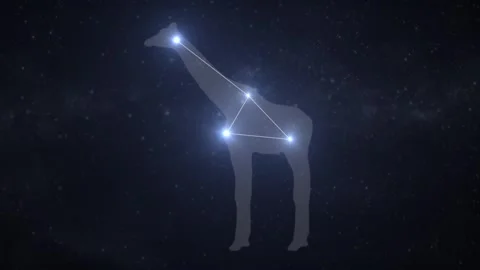 Camelopardalis Constellation Animation – Star Map Stock Footage 333238978