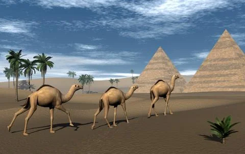 Camels and pyramids - 3D render Stock Illustration