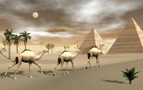 Camels and pyramids - 3D render Stock Illustration