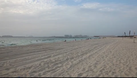 Camels on the beach of Dubai Stock Footage 6530502