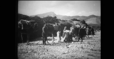 Camels being loaded up for quartermaster supplies by Italian soldiers Stock Footage