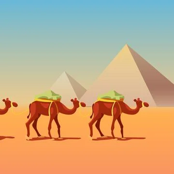 Camels in caravan in front of pyramids Stock Illustration