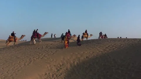 Camels Crossing A Sand Dune In The Thar Desert In India Stock Footage 159157959
