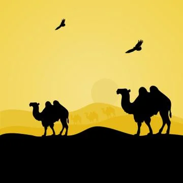 Camels in the desert Stock Illustration