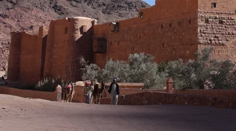 Camels in front of St. Catherine Monastery, Sinai Stock Footage 39145146
