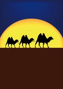 Camels in night Stock Illustration