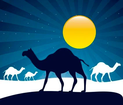 Camels over night background. vector illustration Ilustração Stock