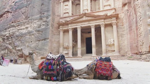 Camels rest in front of the Treasury building in Petra, Jordan Video stock 112987430