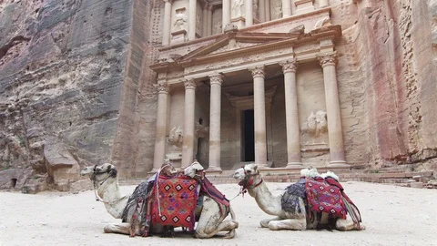 Camels rest in front of the Treasury an important landmark of Petra Stock Footage 112174047