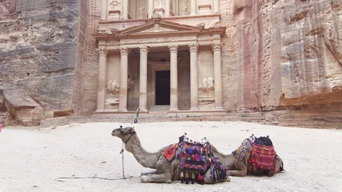 Camels rest in front of the Treasury or Al-Khazneh, Petra, Jordan Stock Footage 112115188