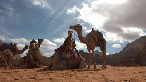 Camels in wadi rum 3 스톡 동영상 83613245