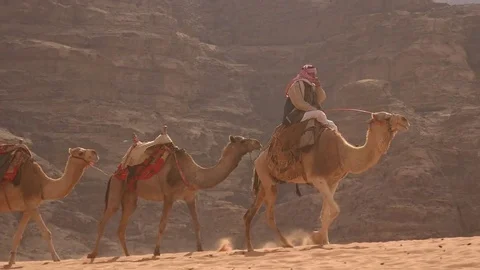 Camels in wadi rum 4 Vídeos de archivo 83613231