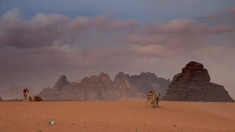 Camels in wadi rum 5 Video stock 83613190
