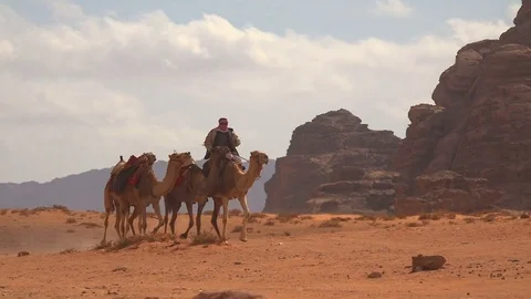 Camels in wadi rum 8 Stock-Footage 83612847