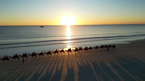 Camels Walking On Cable Beach Broome Western Australia Casting Shadows Vidéo 276427358