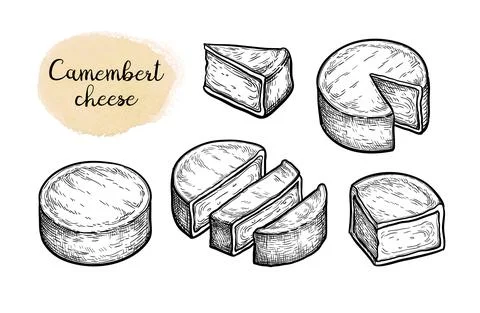 Camembert cheese big set Stock Illustration