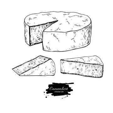 Camembert cheese block and triangle drawing. Vector hand drawn food sketch. Stock Illustration