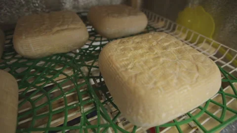 Camembert cheese, brie. Soft, with a hard, moldy crust Stock Footage 146678331