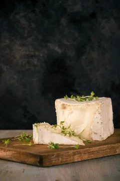 Camembert cheese with cube shape and cress Stock Photos