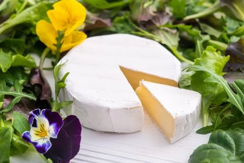 Camembert cheese Stock Photos
