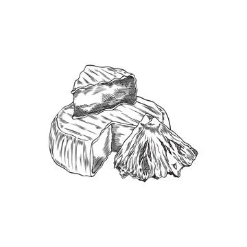Camembert cheese with pineapple vector engraved sketch, hand drawn soft cheese Stock Illustration