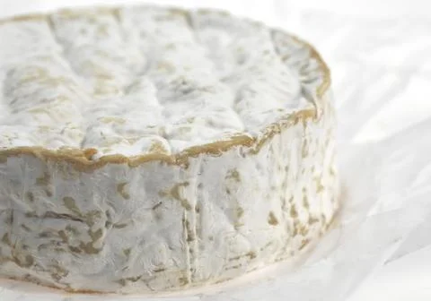 CAMEMBERT Foto stock