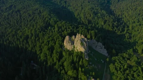 Camera above the forest and blue sky Stock Footage 158008387