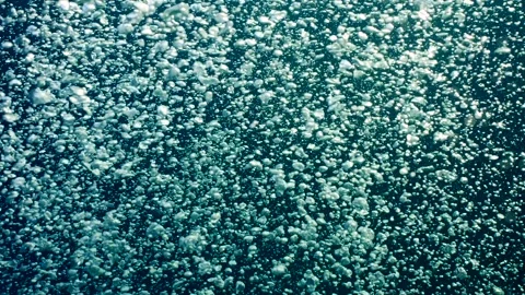 Camera accompanies a air bubbles rising from deep of Ocean to surface of water, Stock Footage 240897115