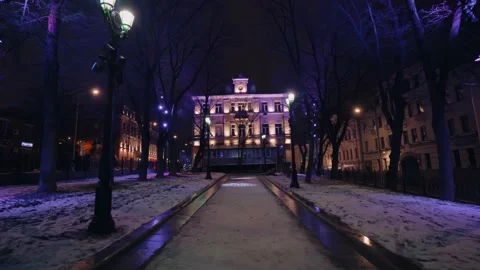 Camera along path in park between trees that are brightly decorated in new year 스톡 동영상 143811793