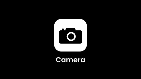 Camera App Icon Stock Footage 334463118