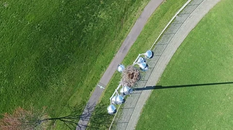 The Camera Approaches an Osprey High Above Ground Video stock 49041078