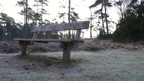 Camera approaching empty bench in nature Stock Footage 293082140