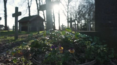Camera approaching a tombstone in a cemetery Stock Footage 293082735