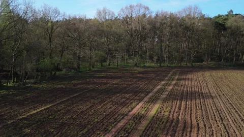 Camera Ascending From Field Over Forest to Reveal Rural Landscape and Blue Sky Stock Footage 306671055