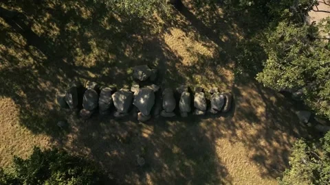 Camera ascending showing neolithic passage grave Stock Footage 293158461