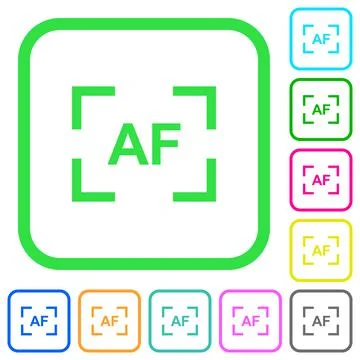 Camera autofocus mode vivid colored flat icons 스톡 일러스트