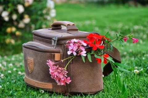 Camera bag Stock Photos